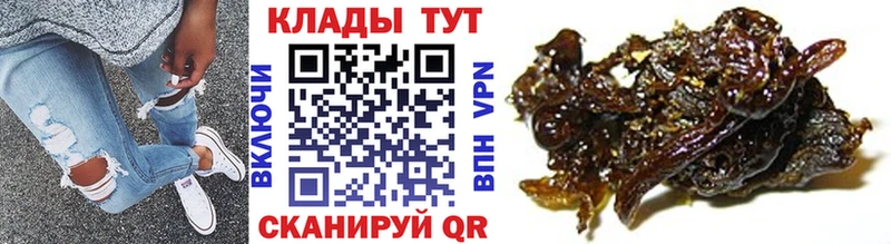 Виды наркотиков купить Могоча Амфетамин  Каннабис  kraken как войти  Меф  ГАШИШ  Alpha PVP  Псилоцибиновые грибы 