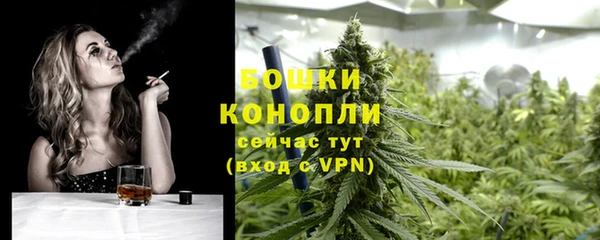 apvp Аркадак